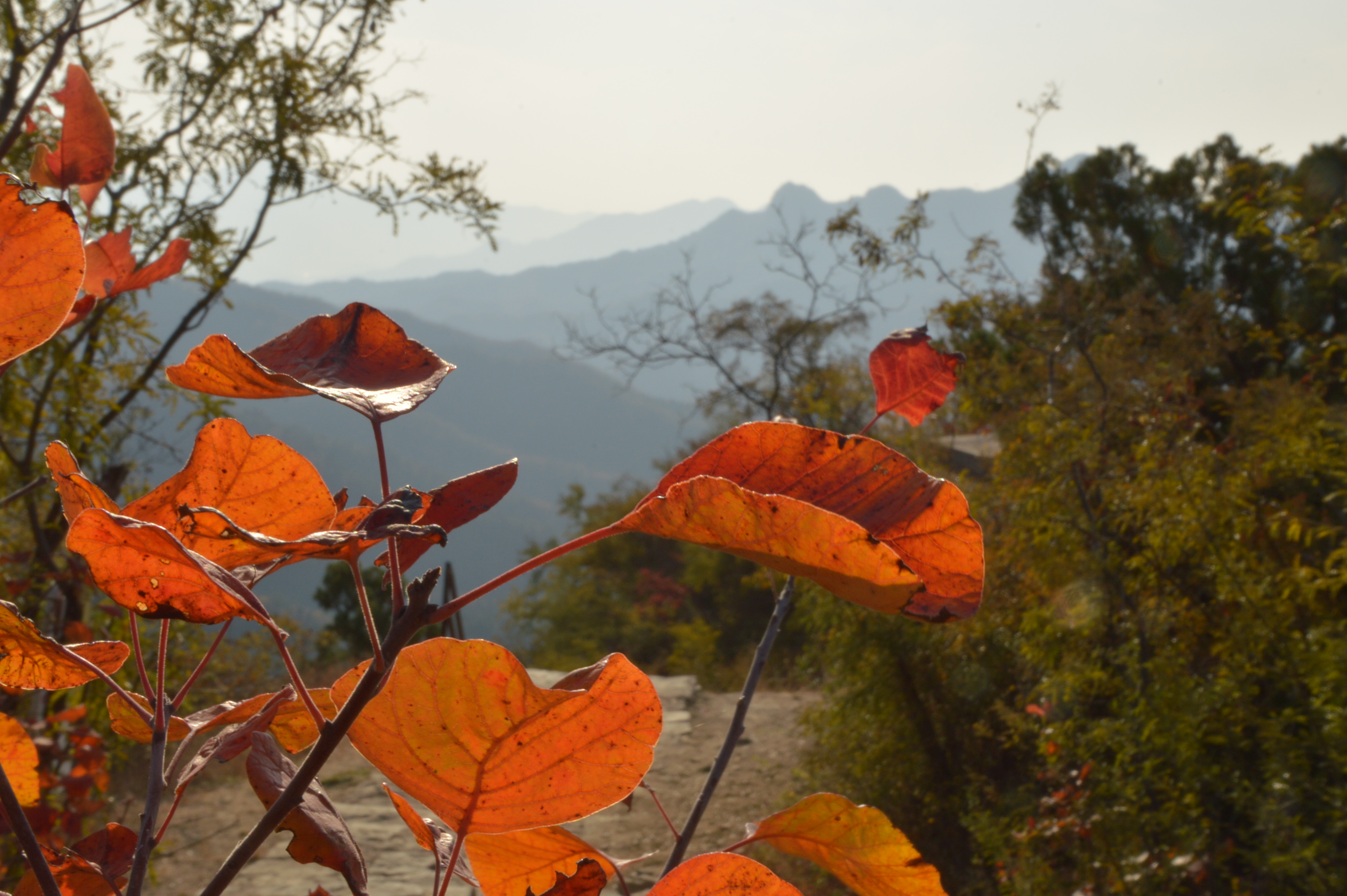 DSC_0046.JPG DSC_0046.JPG